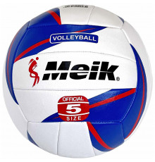 E40796-1 Мяч волейбольный №5